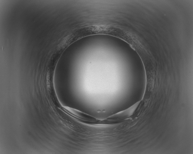 X0000084550700200702231205