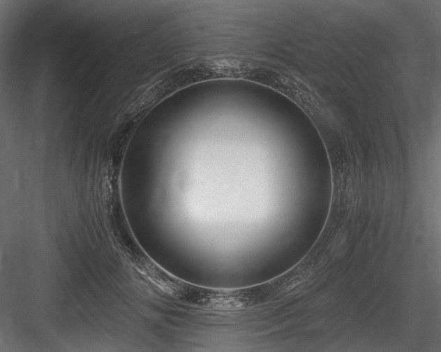 X0000084550702200702231205