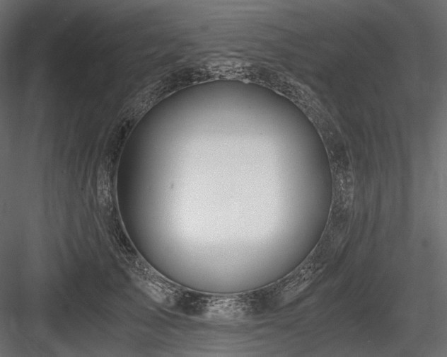 X0000084550705200702231205