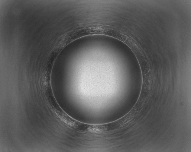 X0000084550706200702231205