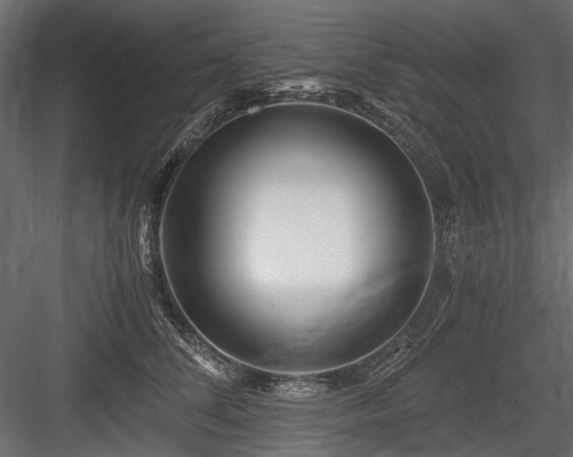 X0000084550708200702231205
