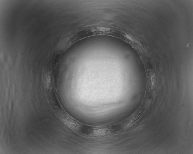 X0000084550709200702231205