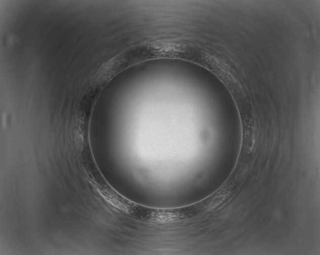 X0000084550710200702231205