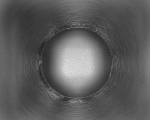 X0000084550712200702231205