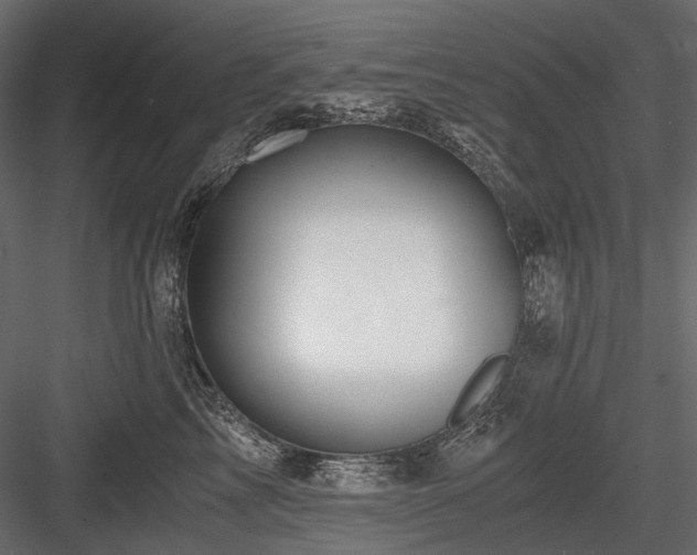 X0000084550713200702231205