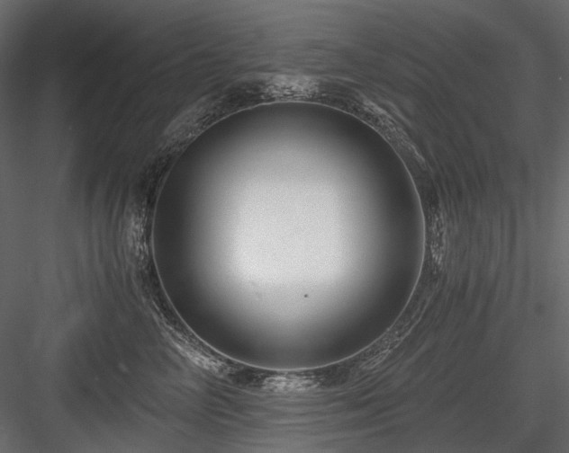 X0000084550714200702231205