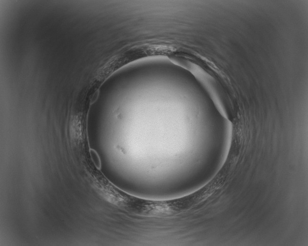 X0000084550715200702231205