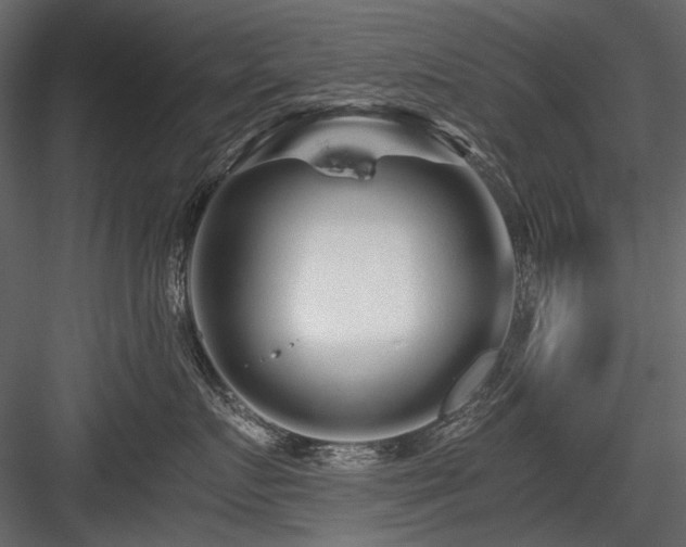 X0000084550719200702231205