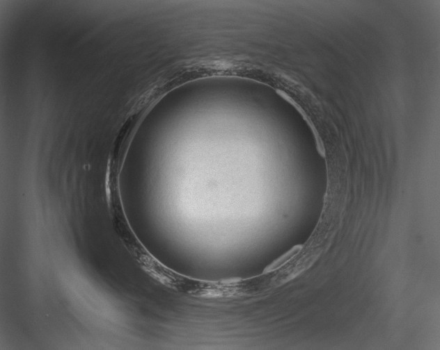 X0000084550720200702231205