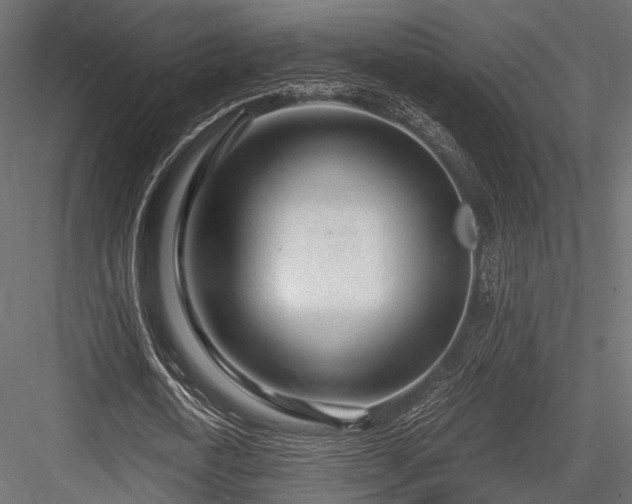 X0000084550722200702231204