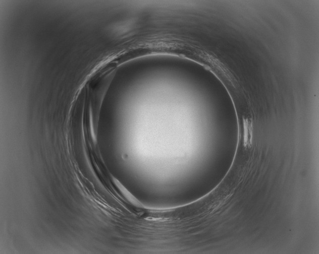 X0000084550723200702231204