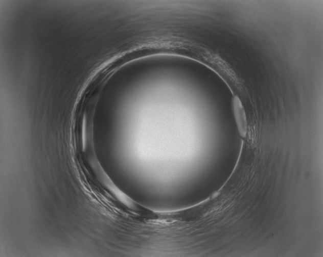 X0000084550724200702231204