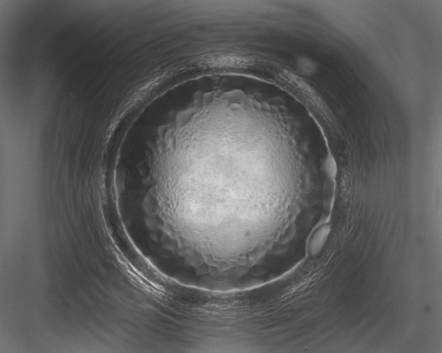 X0000084550725200702231204