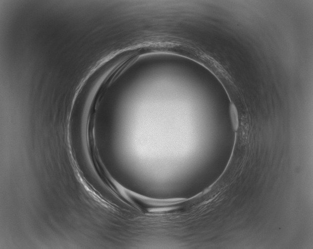 X0000084550726200702231204