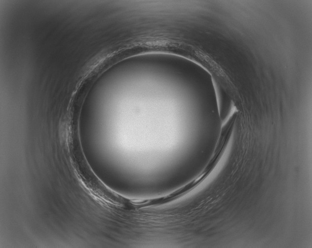 X0000084550728200702231204