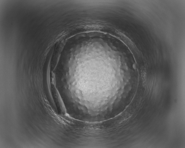 X0000084550729200702231204