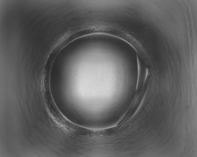 X0000084550730200702231204