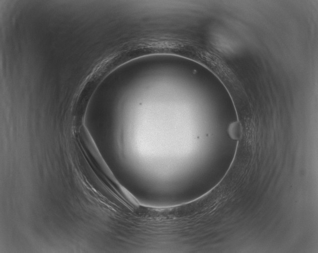 X0000084550731200702231204