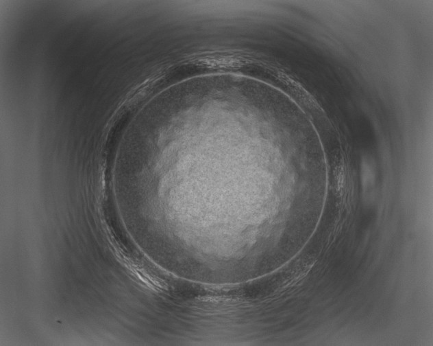 X0000084550733200702231204
