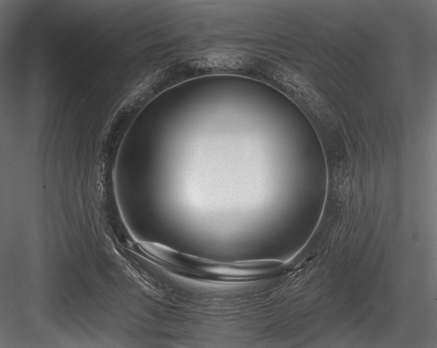 X0000084550735200702231204