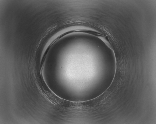 X0000084550738200702231205