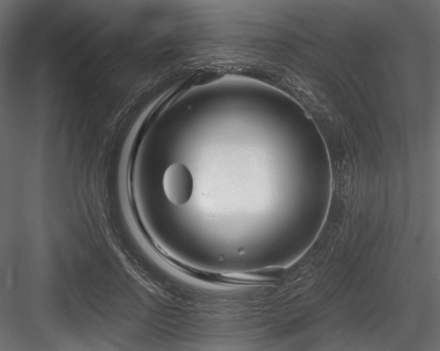 X0000084550742200702231205