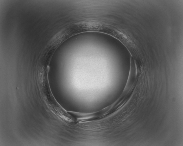 X0000084550744200702231205