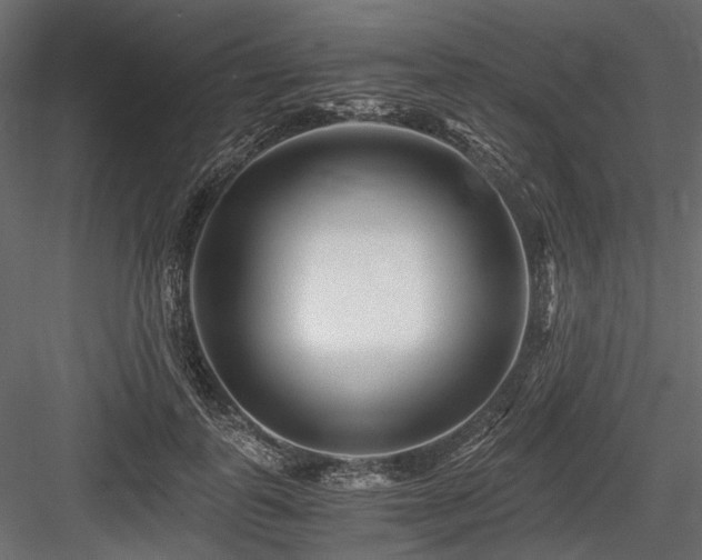 X0000084550747200702231205