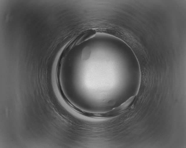 X0000084550748200702231205
