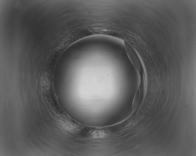 X0000084550751200702231205