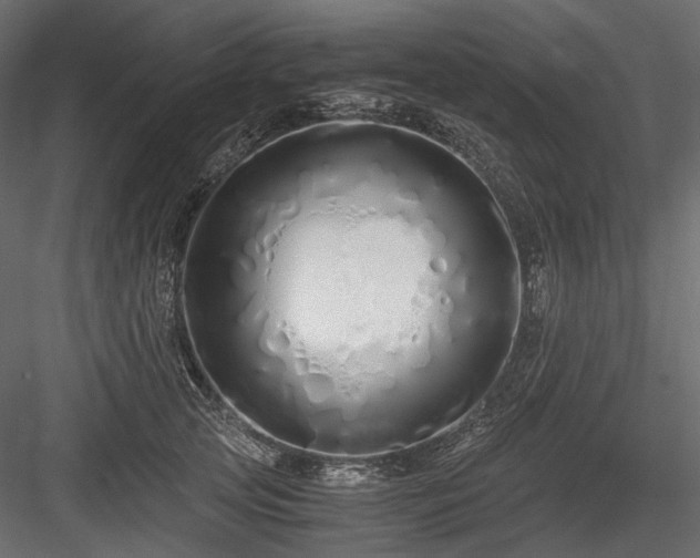 X0000084550753200702231205