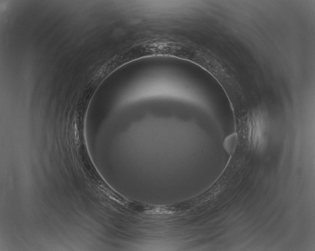X0000084550754200702231205