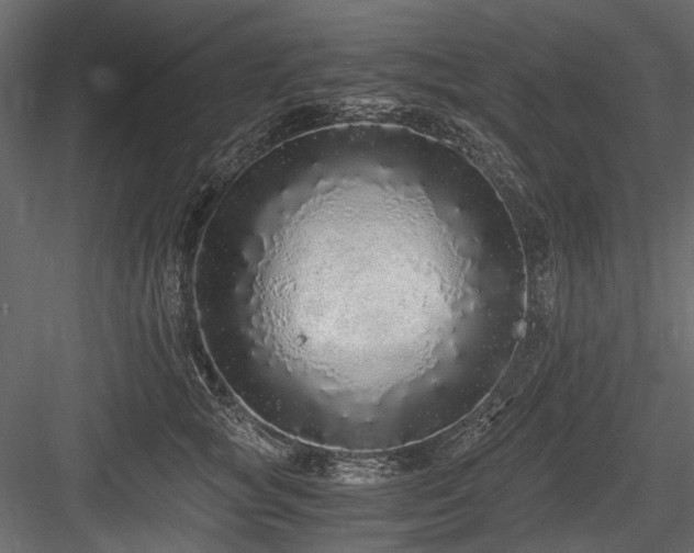 X0000084550757200702231205