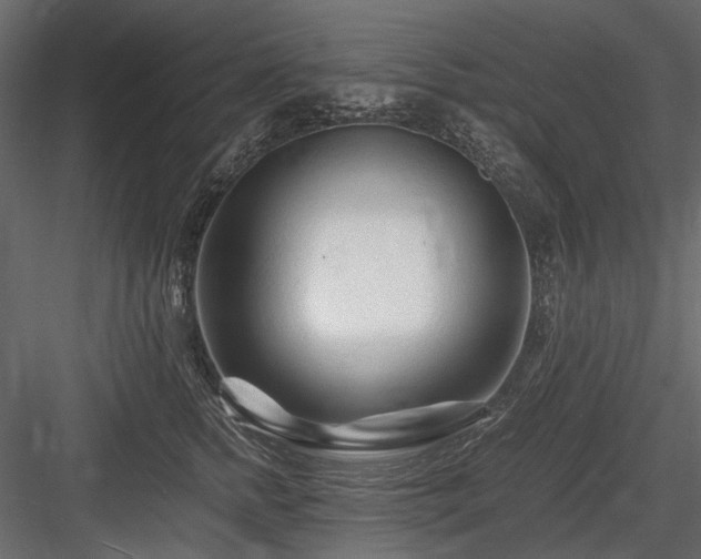 X0000084550758200702231205