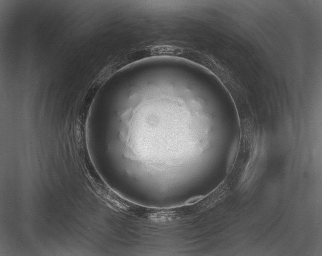 X0000084550761200702231205