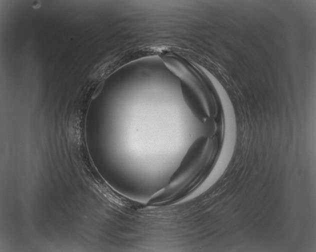 X0000084550762200702231205
