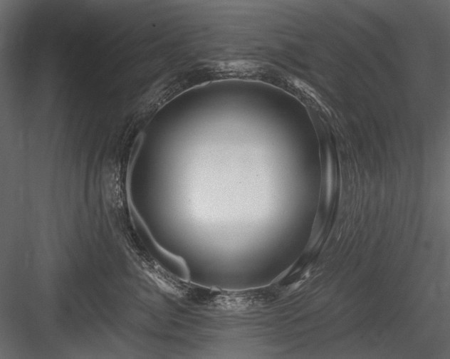 X0000084550764200702231205