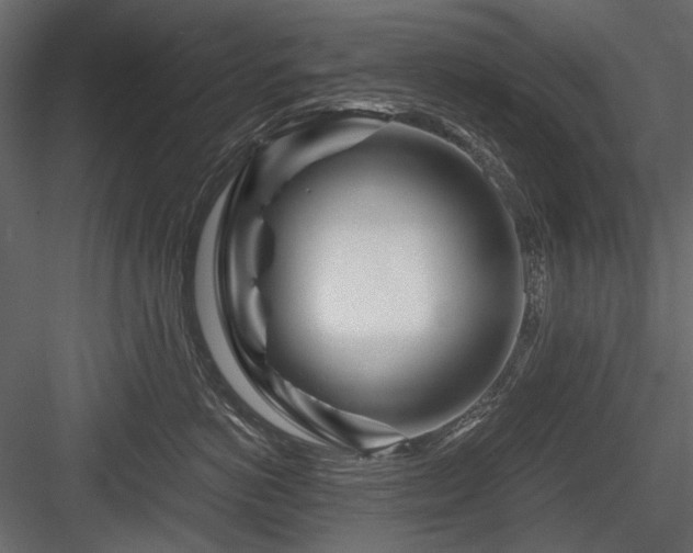 X0000084550766200702231205