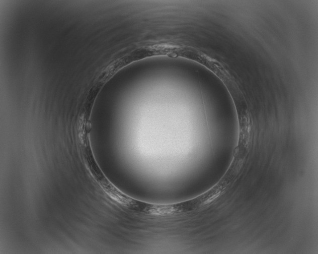 X0000084550767200702231205