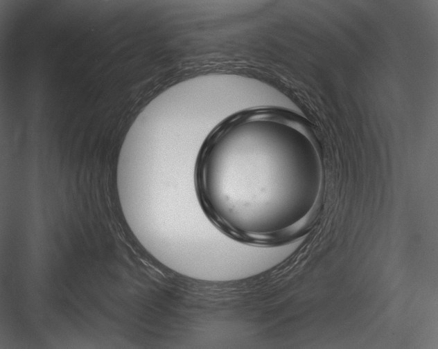 X0000084550768200702231205