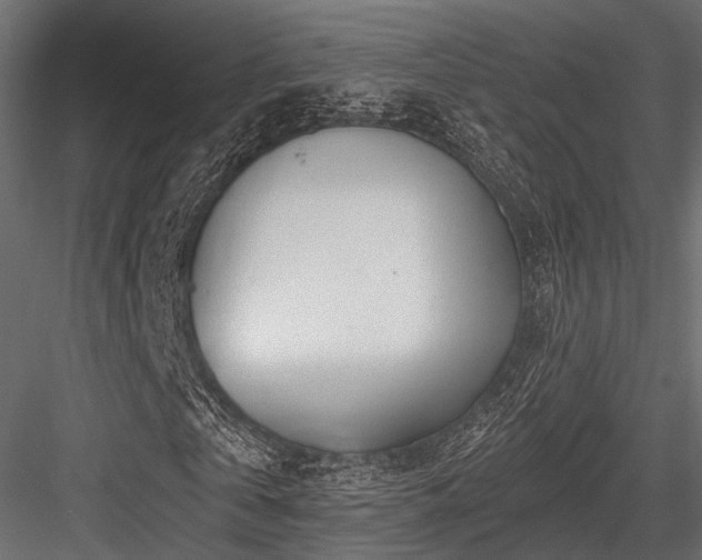 X0000084550769200702231204