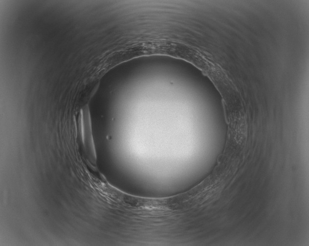 X0000084550770200702231204