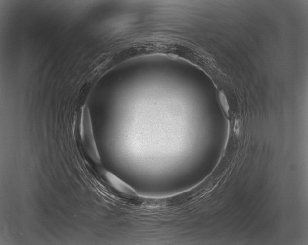 X0000084550771200702231204