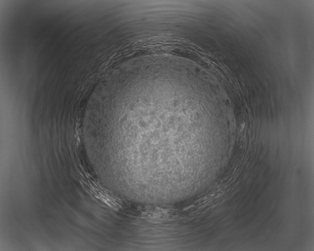 X0000084550772200702231204