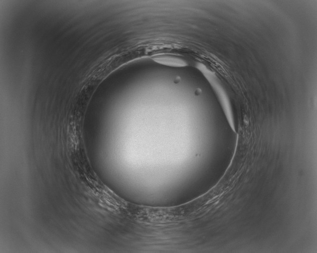 X0000084550774200702231204