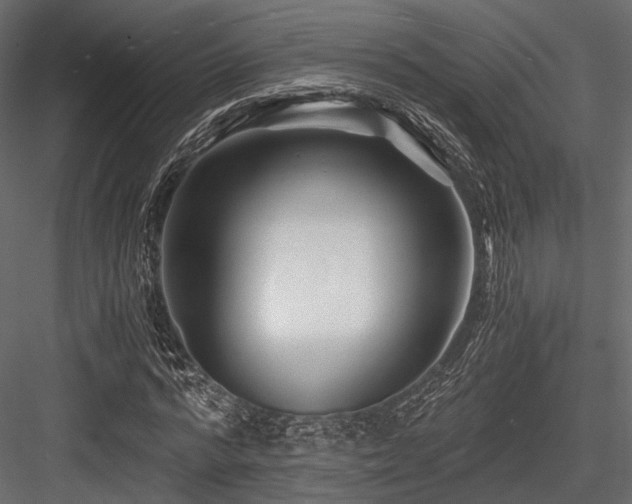 X0000084550776200702231204