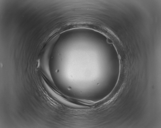 X0000084550777200702231204