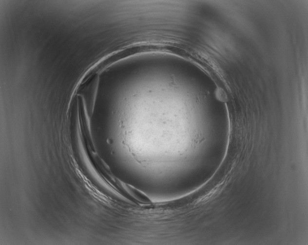 X0000084550779200702231204