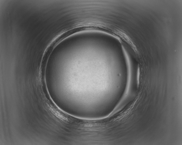 X0000084550780200702231204