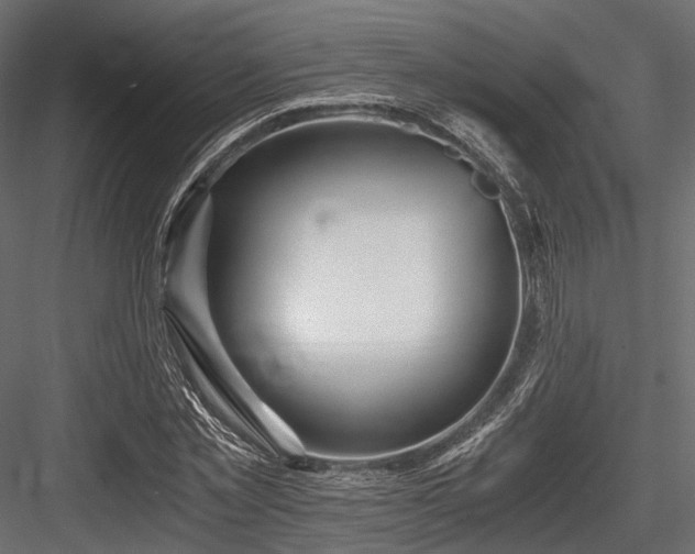X0000084550781200702231204
